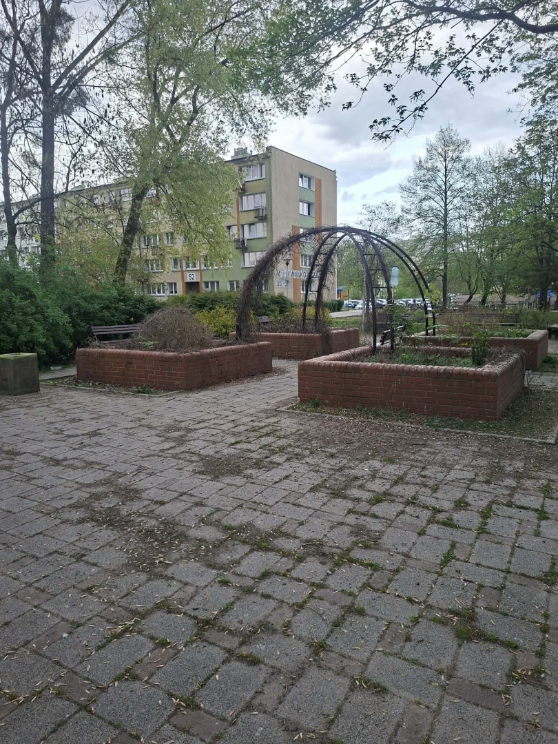 Zdjęcie ogrodu Zdjęcie ogrodu