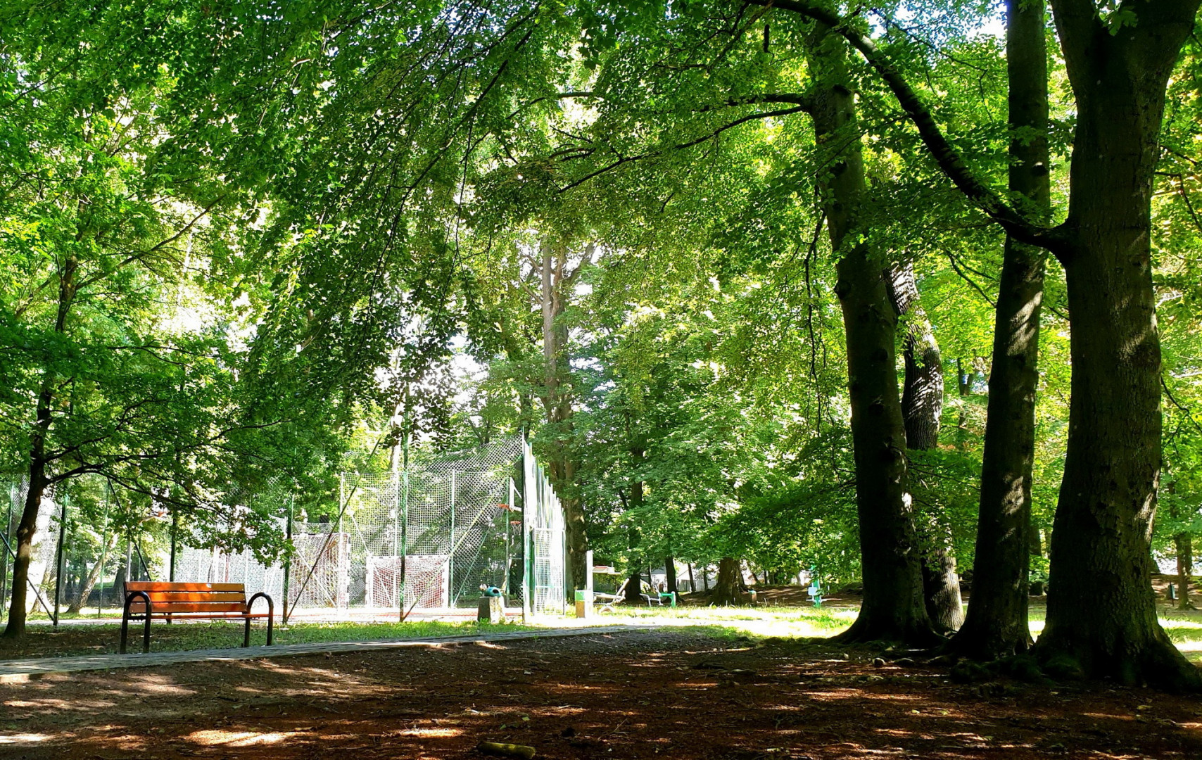 Park na Rokosowie Park na Rokosowie