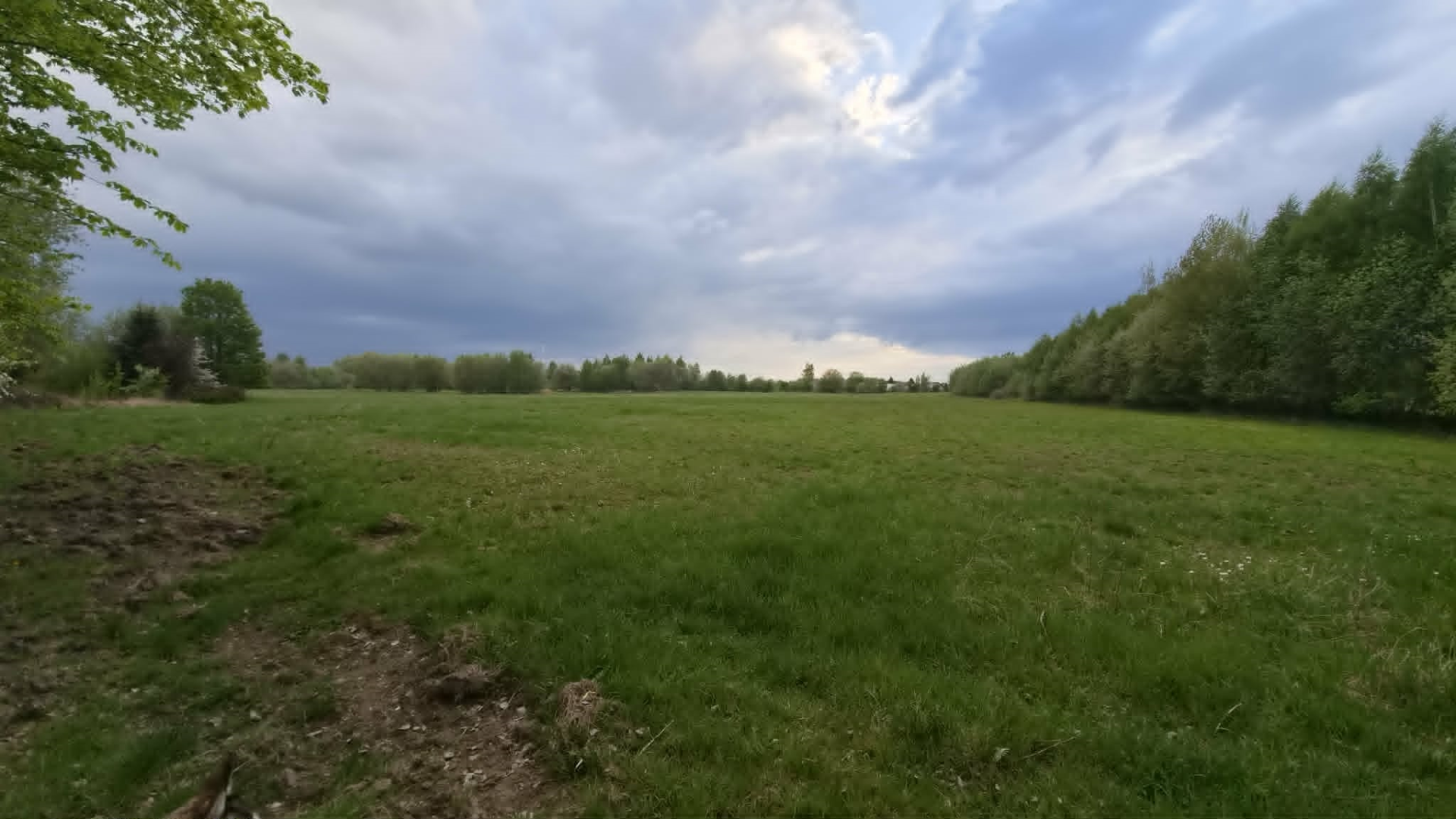 lato - duża łąka