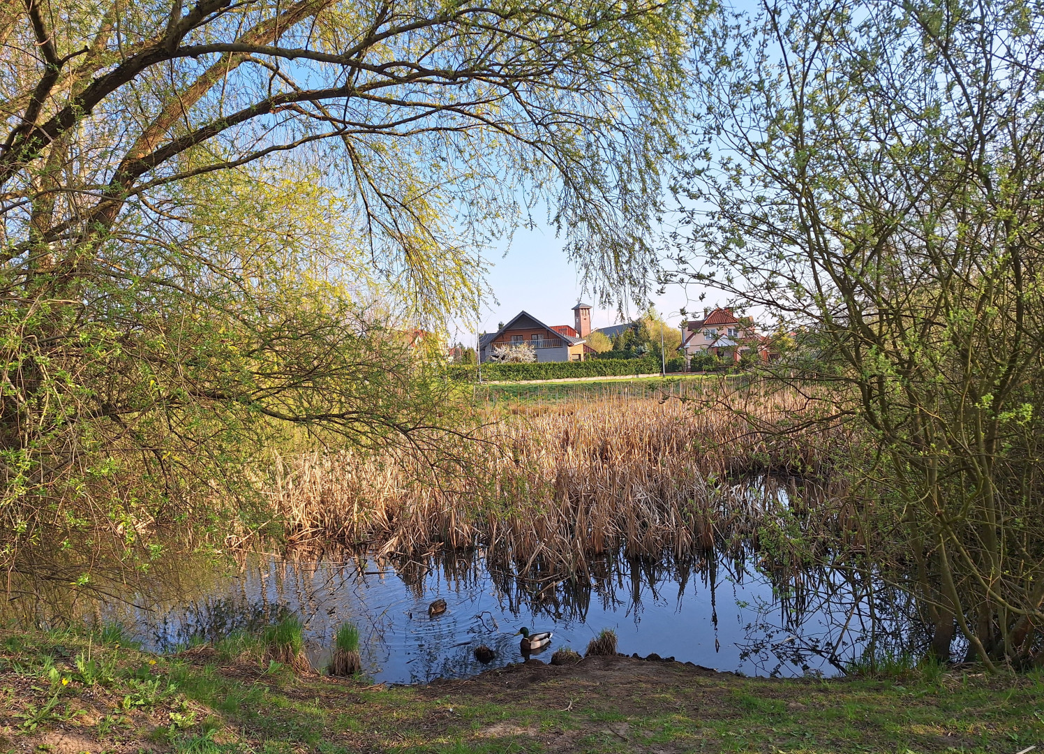 widok na staw z widokiem na kościół