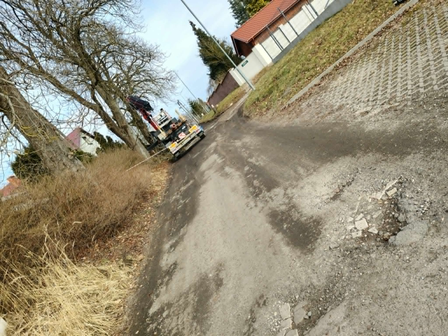 Ulica Drzewna Ulica Drzewna