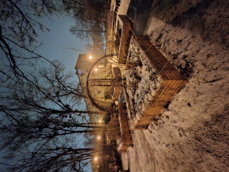 ogród